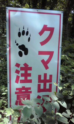 注意