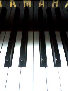 鍵盤
