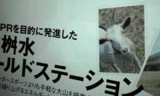 あのヤギが掲載されていた