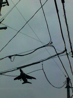 電線