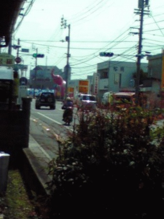 象
