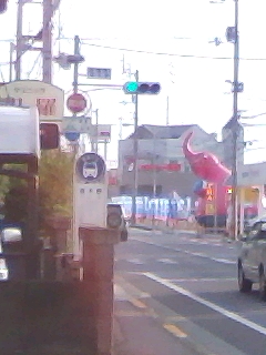 ゾウ
