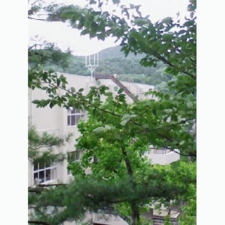 四本槍