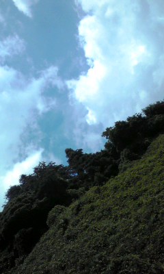 空山