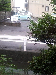 これだ┐('～`;)┌