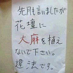 違法