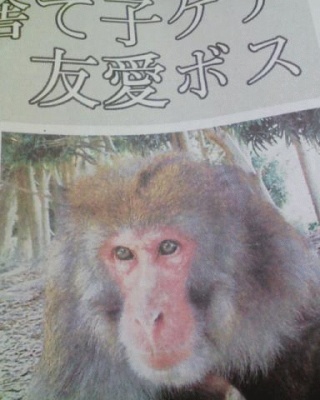 流行語(笑)