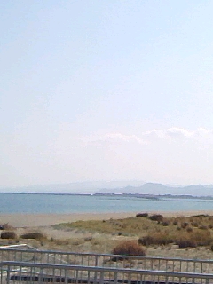 海