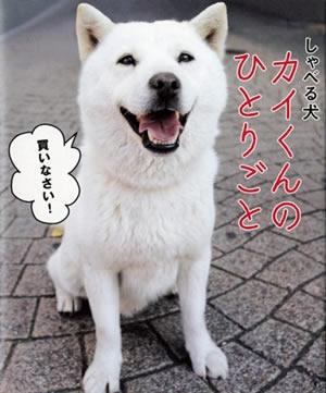 おとうさん