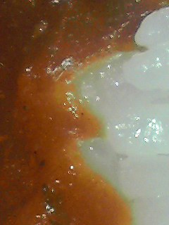 カレーライス