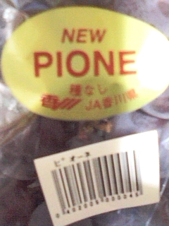 種無し