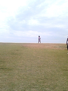 海