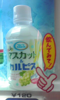 カルピス