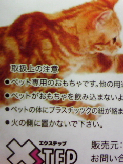 どこかが変