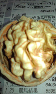 倉吉市産くるみ
