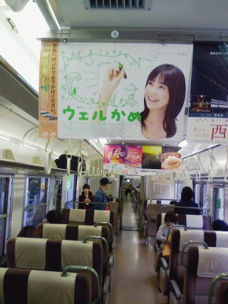 亀