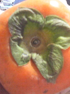 姉