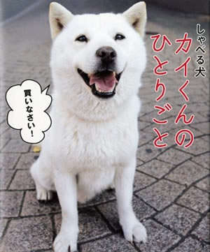 犬