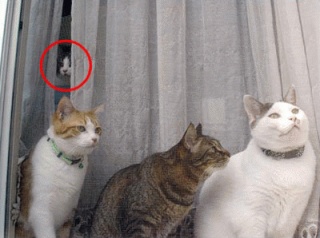 心霊写真