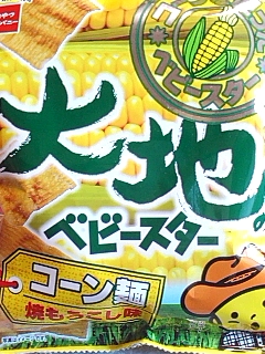 大地