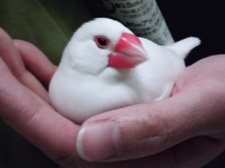 ・∋{手の中が温かい季節