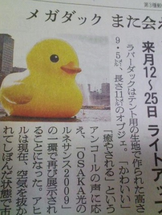 帰ってきたヒヨコ