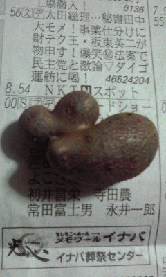 むかご