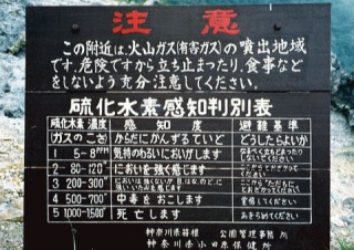 あきらめなさい