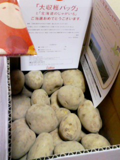 カルビー当たた