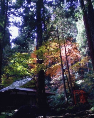 高山寺