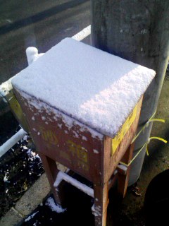 砂箱に積雪