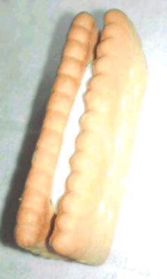 微素子