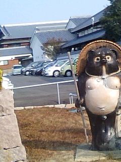 タヌキ