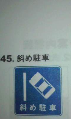 初めて見た