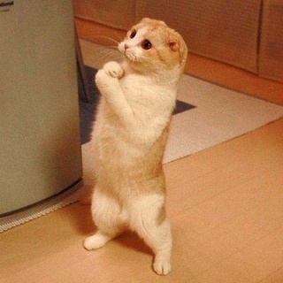 神様お願いm(._.)m