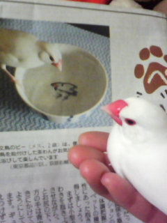 ・∋{女の写真やんけ！