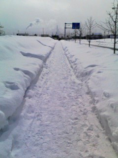 雪道どすえ
