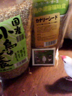 ＾∋{俺のご飯はこれだよ♪