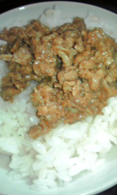 豚の生姜煮ご飯