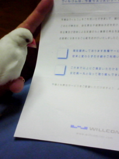 ・∋{ふむふむ