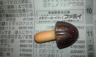 この先生きのこるには