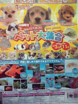 ペット大集合