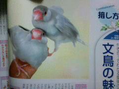 拾い