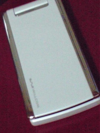 購入