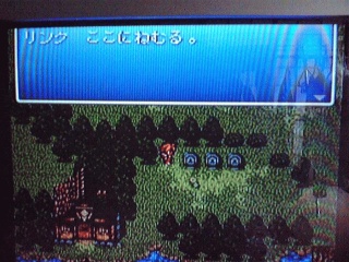リンクの墓発見