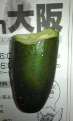 キュウリ丸かじり