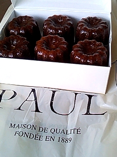 ＰＡＵＬ
