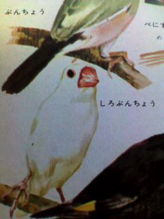 マダー？