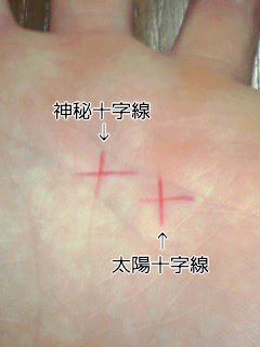 手相(再)