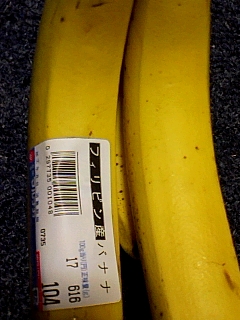 フィリピン産